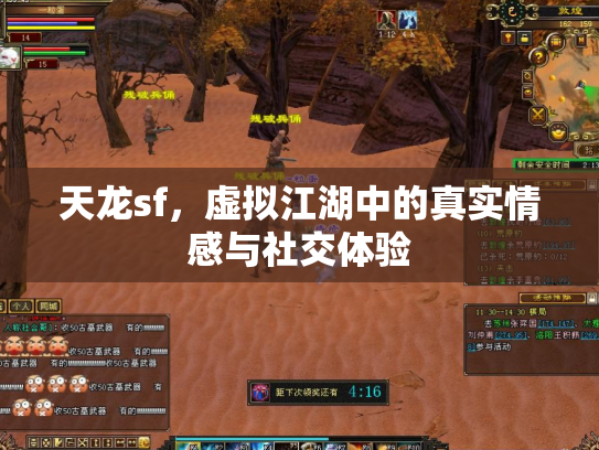 天龙sf，虚拟江湖中的真实情感与社交体验