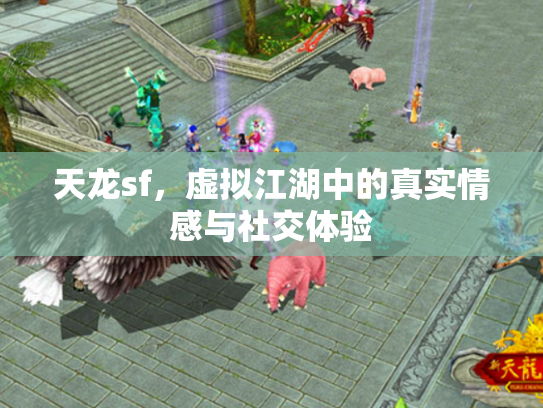 天龙sf，虚拟江湖中的真实情感与社交体验