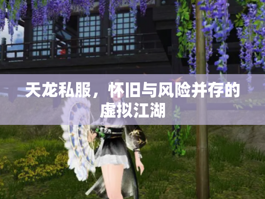 天龙私服，怀旧与风险并存的虚拟江湖