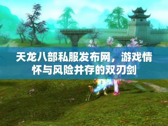 天龙八部私服发布网，游戏情怀与风险并存的双刃剑