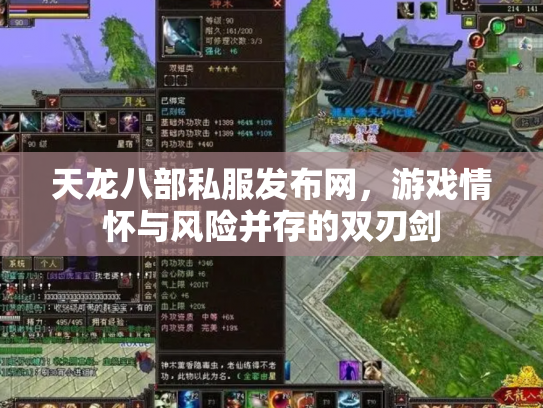天龙八部私服发布网，游戏情怀与风险并存的双刃剑