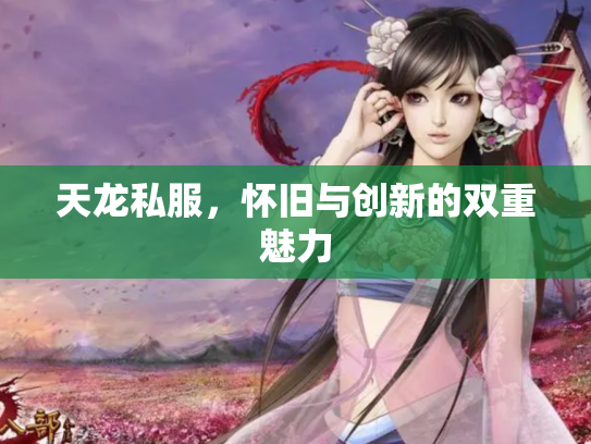 天龙私服，怀旧与创新的双重魅力