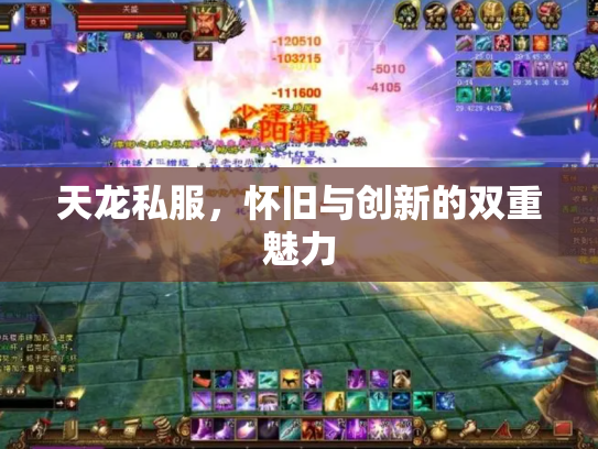 天龙私服，怀旧与创新的双重魅力
