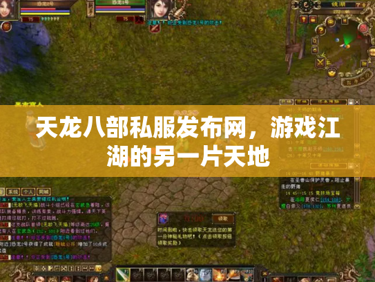 天龙八部私服发布网，游戏江湖的另一片天地
