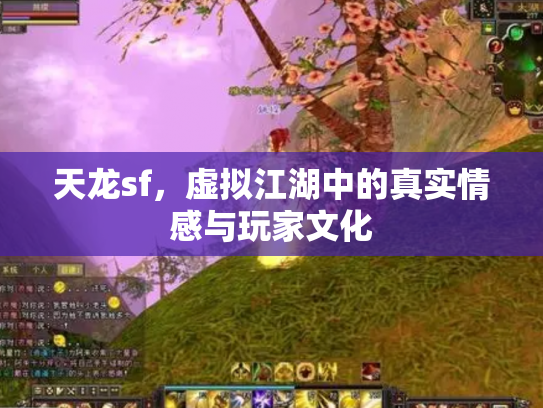 天龙sf，虚拟江湖中的真实情感与玩家文化