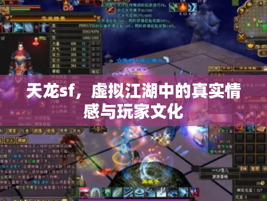 天龙sf，虚拟江湖中的真实情感与玩家文化