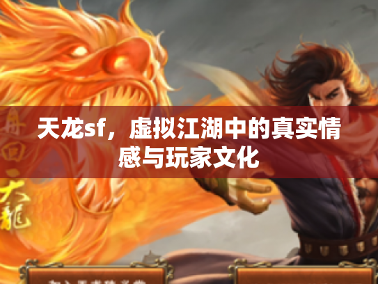 天龙sf，虚拟江湖中的真实情感与玩家文化