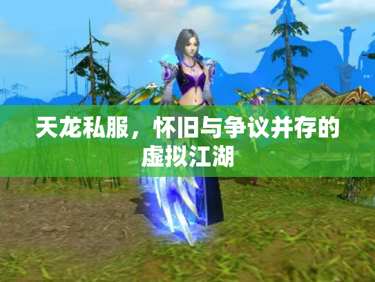 天龙私服，怀旧与争议并存的虚拟江湖
