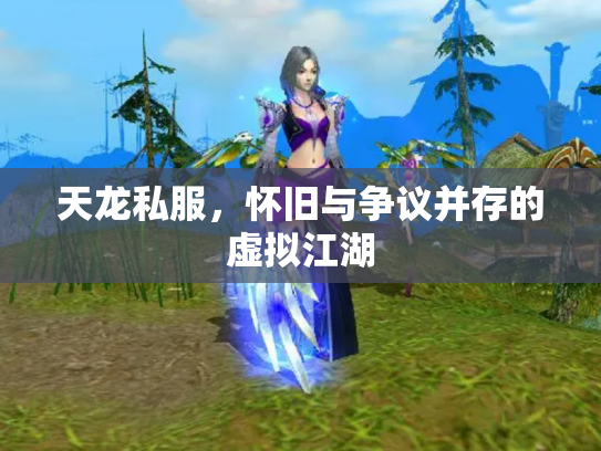 天龙私服，怀旧与争议并存的虚拟江湖