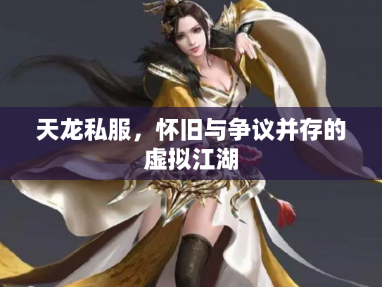 天龙私服，怀旧与争议并存的虚拟江湖