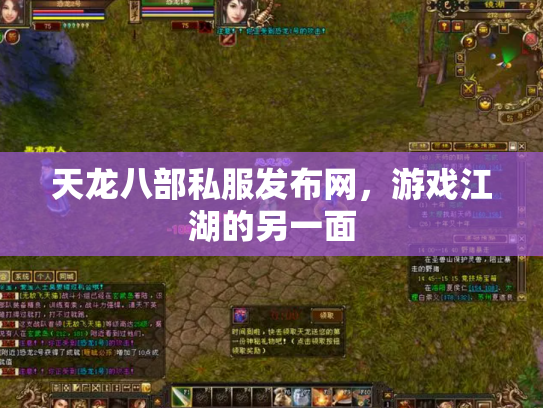 天龙八部私服发布网，游戏江湖的另一面