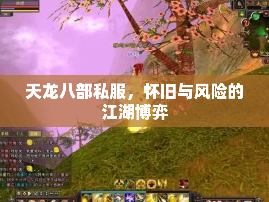 天龙八部私服，怀旧与风险的江湖博弈