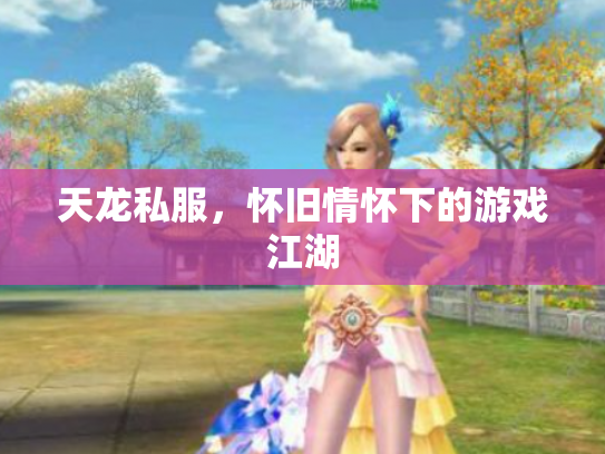 天龙私服，怀旧情怀下的游戏江湖