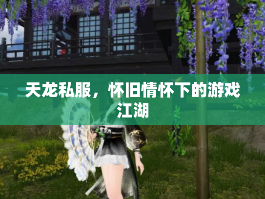 天龙私服，怀旧情怀下的游戏江湖