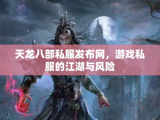 天龙八部私服发布网，游戏私服的江湖与风险