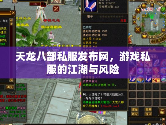 天龙八部私服发布网，游戏私服的江湖与风险