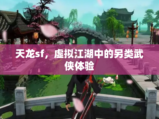 天龙sf，虚拟江湖中的另类武侠体验