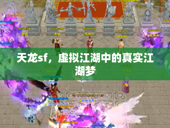 天龙sf，虚拟江湖中的真实江湖梦