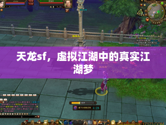 天龙sf，虚拟江湖中的真实江湖梦