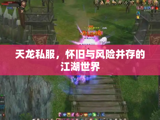 天龙私服，怀旧与风险并存的江湖世界