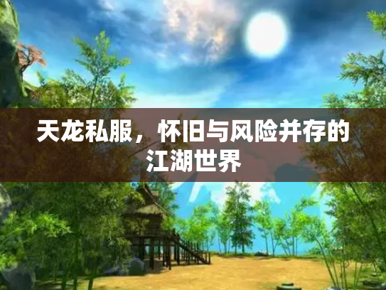 天龙私服，怀旧与风险并存的江湖世界