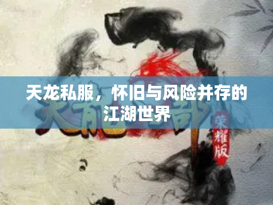 天龙私服，怀旧与风险并存的江湖世界