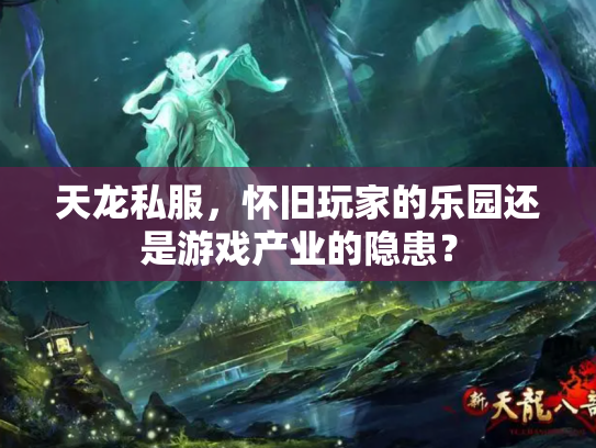 天龙私服，怀旧玩家的乐园还是游戏产业的隐患？
