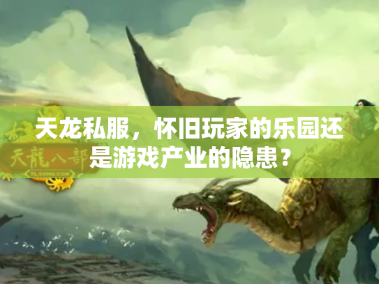 天龙私服，怀旧玩家的乐园还是游戏产业的隐患？