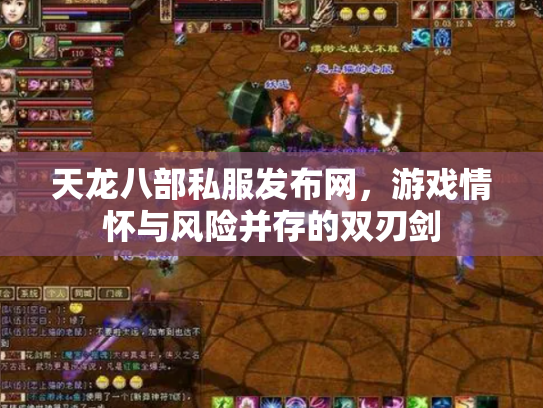 天龙八部私服发布网，游戏情怀与风险并存的双刃剑