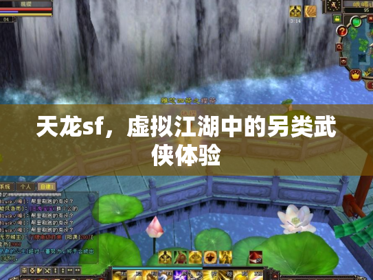 天龙sf，虚拟江湖中的另类武侠体验