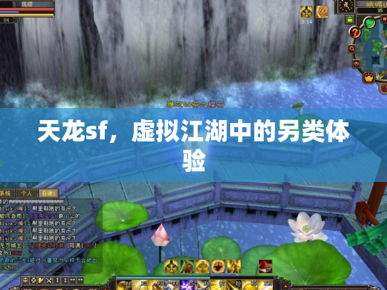 天龙sf，虚拟江湖中的另类体验