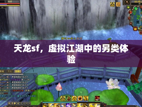 天龙sf，虚拟江湖中的另类体验