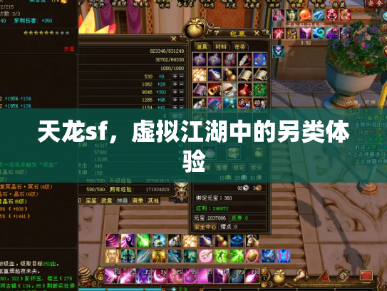 天龙sf，虚拟江湖中的另类体验