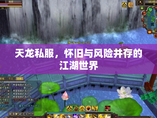天龙私服，怀旧与风险并存的江湖世界