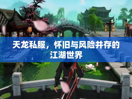 天龙私服，怀旧与风险并存的江湖世界