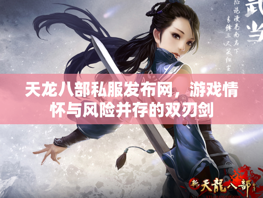 天龙八部私服发布网，游戏情怀与风险并存的双刃剑
