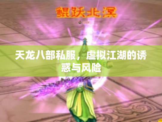 天龙八部私服，虚拟江湖的诱惑与风险