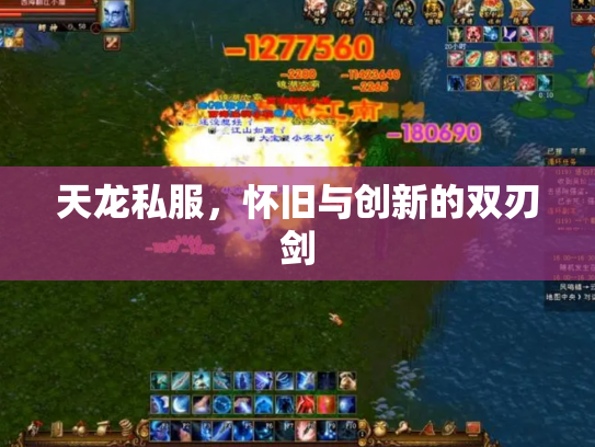 天龙私服，怀旧与创新的双刃剑