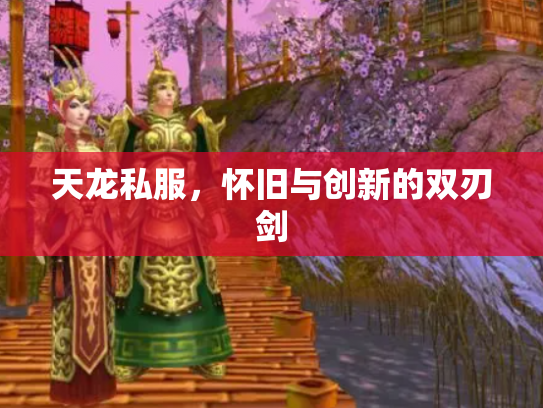 天龙私服，怀旧与创新的双刃剑