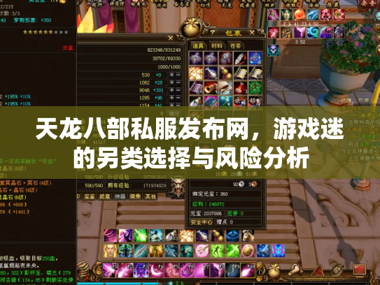 天龙八部私服发布网，游戏迷的另类选择与风险分析