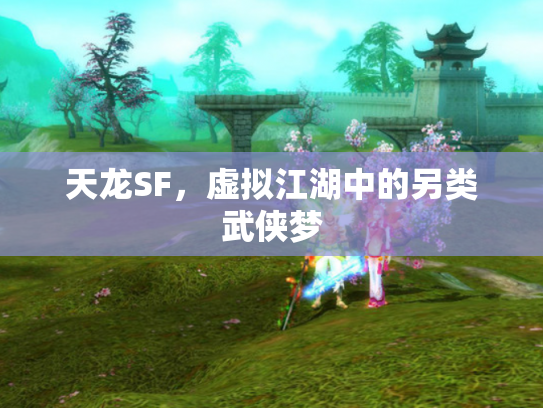 天龙SF，虚拟江湖中的另类武侠梦