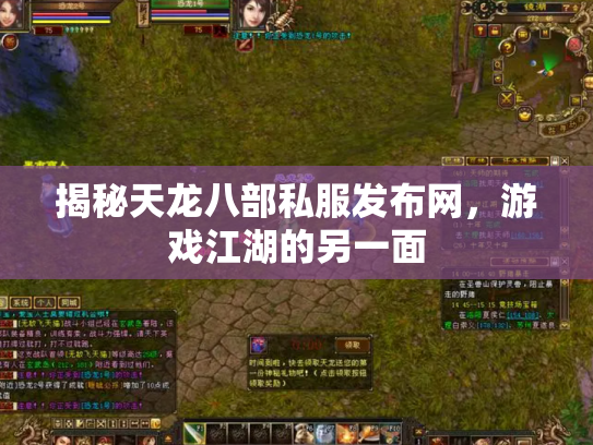 揭秘天龙八部私服发布网，游戏江湖的另一面
