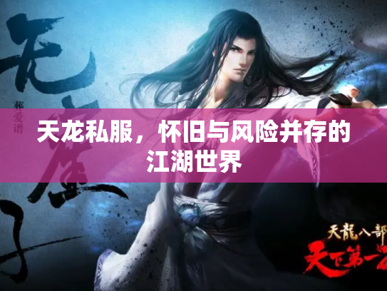 天龙私服，怀旧与风险并存的江湖世界