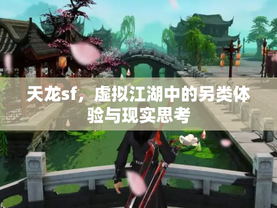 天龙sf，虚拟江湖中的另类体验与现实思考