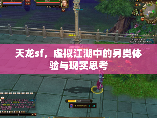 天龙sf，虚拟江湖中的另类体验与现实思考