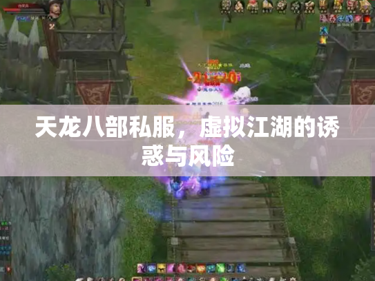 天龙八部私服，虚拟江湖的诱惑与风险