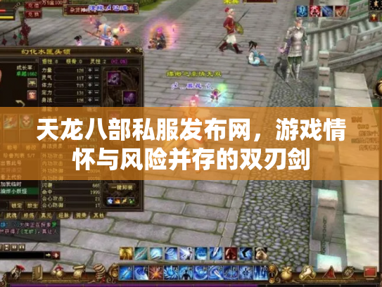 天龙八部私服发布网，游戏情怀与风险并存的双刃剑