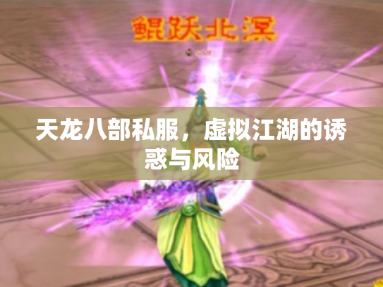 天龙八部私服，虚拟江湖的诱惑与风险