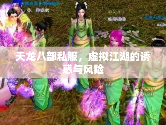 天龙八部私服，虚拟江湖的诱惑与风险