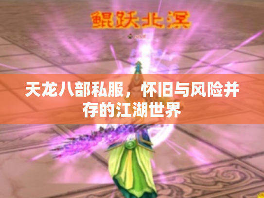 天龙八部私服，怀旧与风险并存的江湖世界
